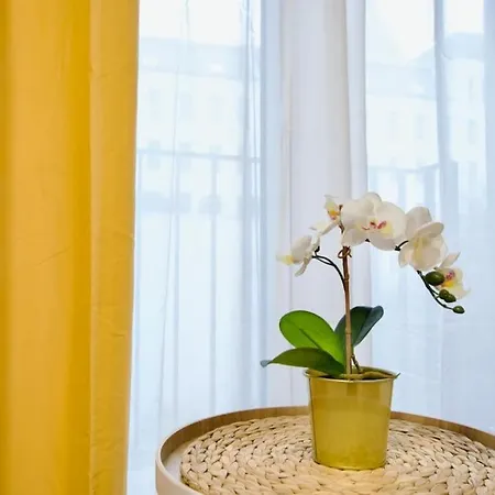 Standard By Hi5-horvath Mihaly Square Apartment Budapest